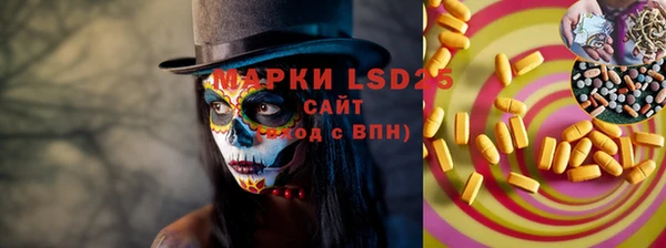 стафф Карпинск