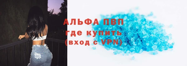 стафф Карпинск