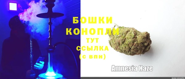 стафф Карпинск