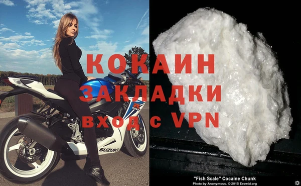 кокс Касимов