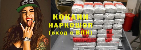 стафф Карпинск