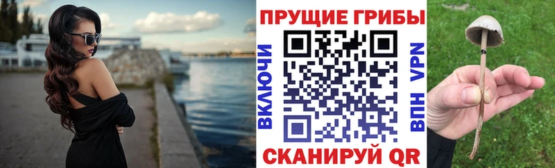 Купить Норильск Галлюциногенные грибы мухоморы