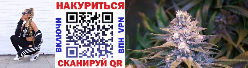 Купить где  Норильск  Конопля SATIVA & INDICA 